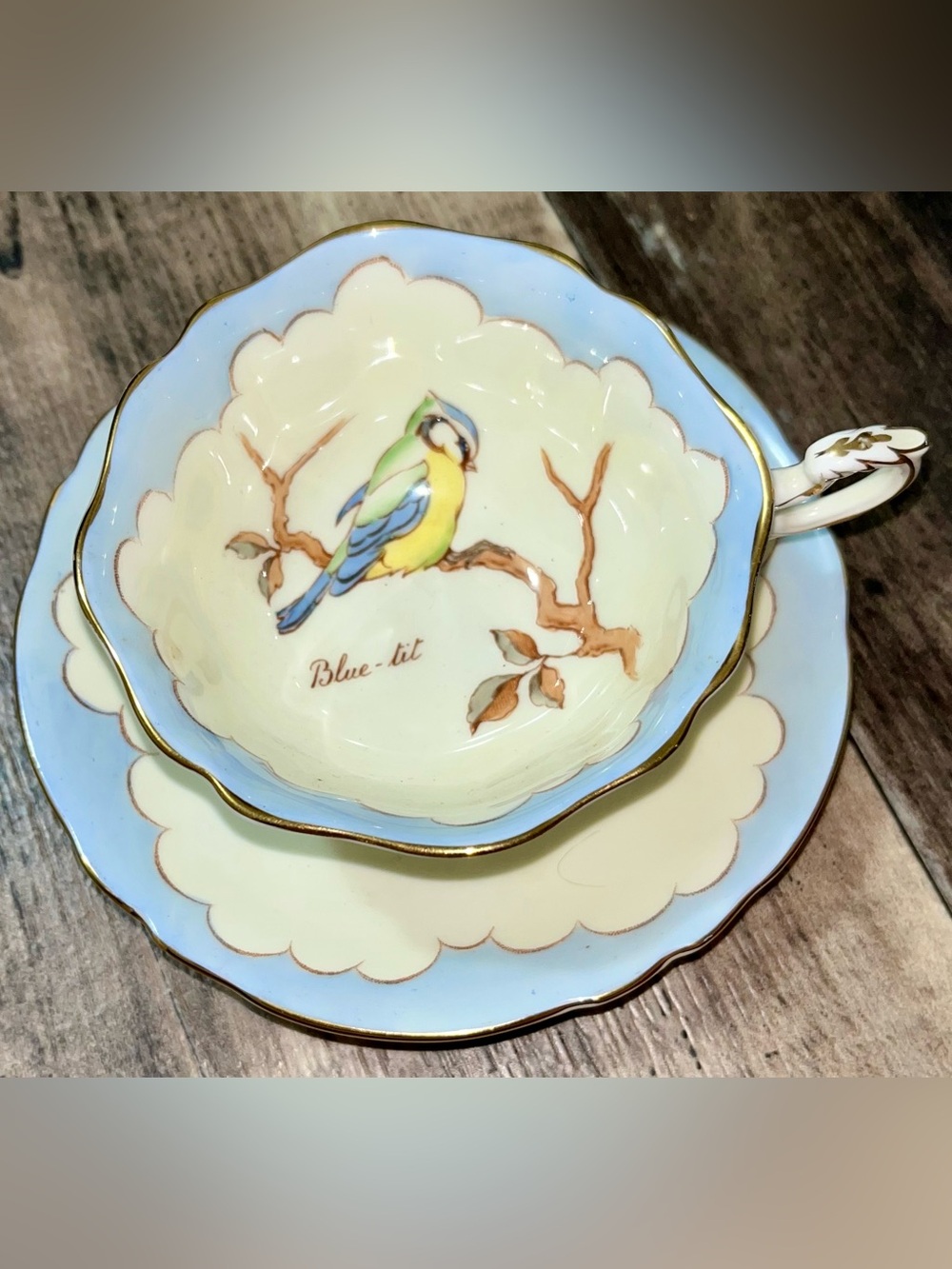 Vintage Paragon Bird Teacup